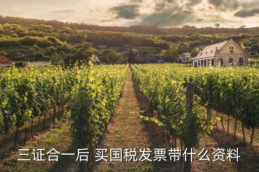 國稅三證合一帶什么材料，三證合一后 買國稅發(fā)票帶什么資料