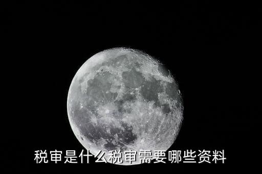什么是大企業(yè)稅務(wù)審計(jì)，審計(jì)和稅務(wù)