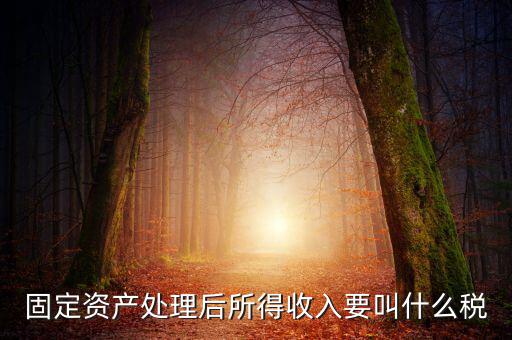 什么叫做試點(diǎn)納稅人，固定資產(chǎn)處理后所得收入要叫什么稅
