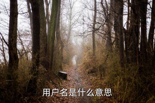 個(gè)稅用戶名是指什么意思，用戶名是什么意思