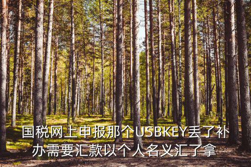 稅務(wù)ukey是什么意思，國稅網(wǎng)上申報那個USBKEY丟了補(bǔ)辦需要匯款以個人名義匯了拿