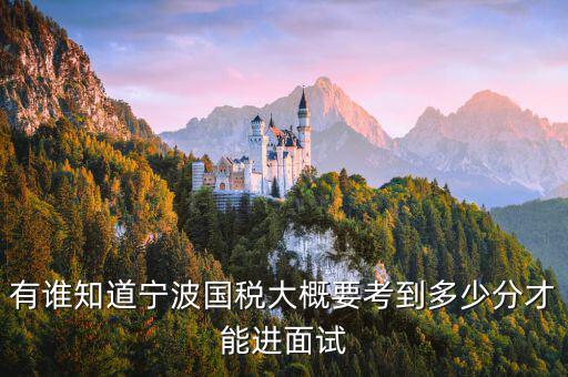 國稅 要求什么素質(zhì)，國稅公務(wù)員面試