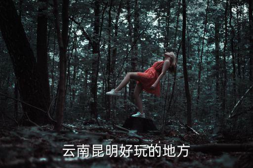 云南昆明地稅旁有什么好玩的地方，云南昆明有哪些好玩的地方