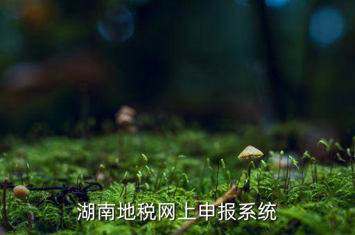 湖南省的地稅報(bào)稅軟件是什么，湖南地稅網(wǎng)上申報(bào)系統(tǒng)
