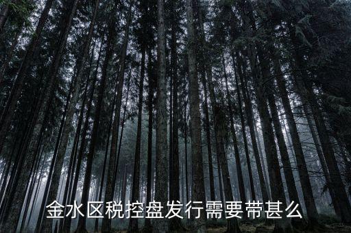 稅盤發(fā)行要帶什么資料，去國稅局辦發(fā)行需要什么資料