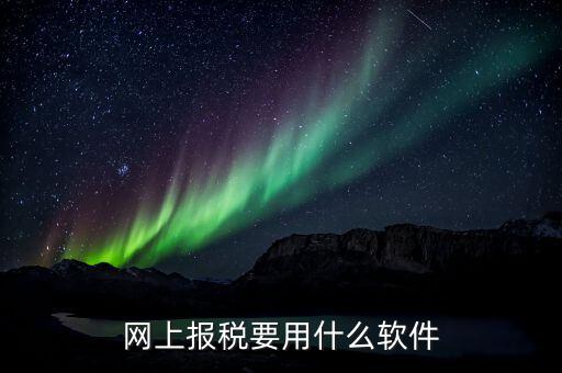納稅申報的軟件是什么，申報軟件是什么
