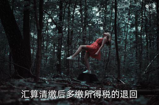 匯算清繳多繳稅款什么時候退，企業(yè)所得稅匯算清繳退款什么時候到賬