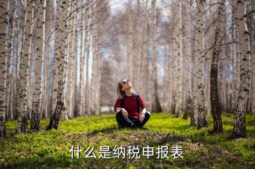 稅務(wù)通用申報表是什么意思，通用稅納稅申報表