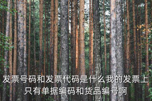 發(fā)票代碼和發(fā)票號碼是什么，發(fā)票代碼和發(fā)票號碼有什么用