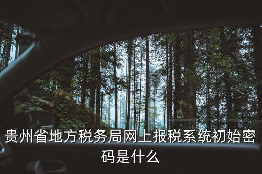 黑龍江電子稅務(wù)是什么，貴州省地方稅務(wù)局網(wǎng)上報(bào)稅系統(tǒng)初始密碼是什么