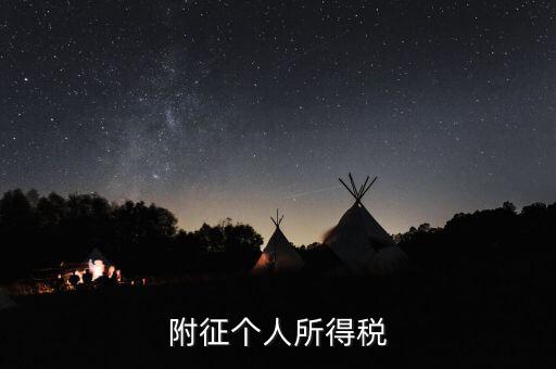 個(gè)人所得稅附征率是什么，什么是所得稅附征率