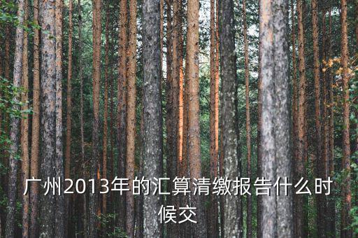 廣州2013年的匯算清繳報(bào)告什么時候交