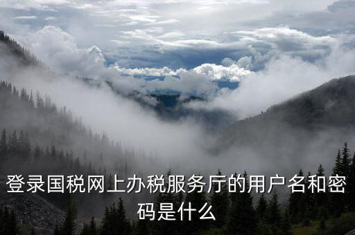 電子稅務局登陸用戶名是什么，登錄國稅網上辦稅服務廳的用戶名和密碼是什么