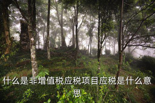 成品油應(yīng)稅和非應(yīng)稅是什么意思，什么是非增值稅應(yīng)稅項目應(yīng)稅是什么意思