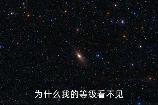 為什么無法查詢到納稅等級(jí)，為什么我的等級(jí)看不見