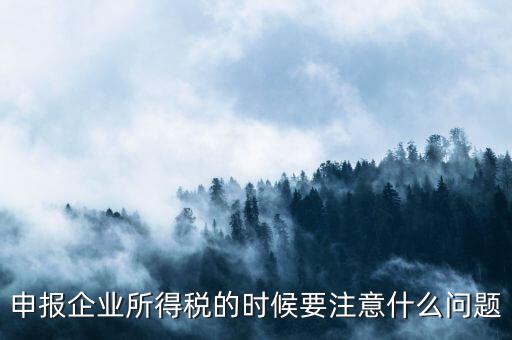 年度企業(yè)所得稅申報(bào)注意什么，申報(bào)企業(yè)所得稅的時(shí)候要注意什么問(wèn)題