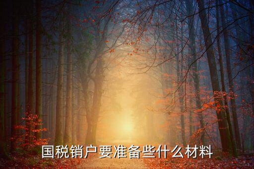 去國稅銷戶需要帶什么資料，國稅注銷需要哪些材料