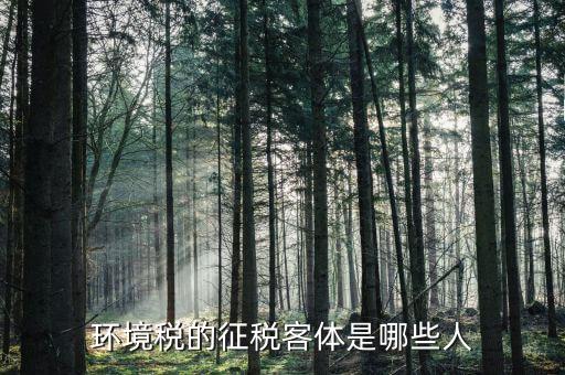 環(huán)保稅納稅人的什么意思，環(huán)境稅是什么意思