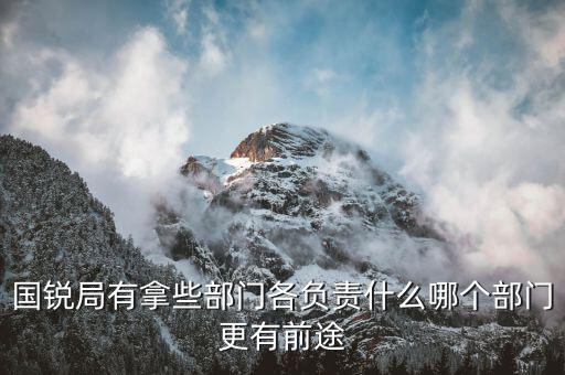 國銳局是辦什么，深圳公司入黑名單注銷吊銷