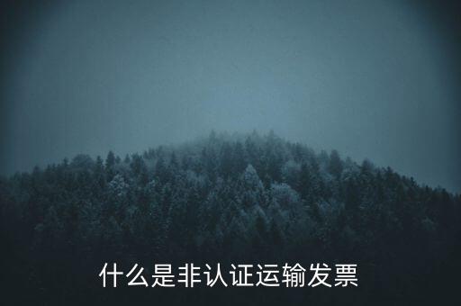 運(yùn)輸票是什么，運(yùn)輸發(fā)票是普通發(fā)票嗎