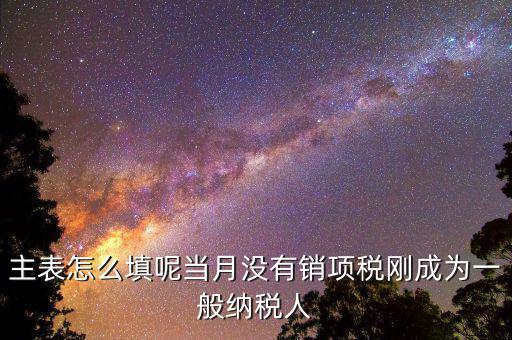 主表怎么填呢當(dāng)月沒(méi)有銷(xiāo)項(xiàng)稅剛成為一般納稅人