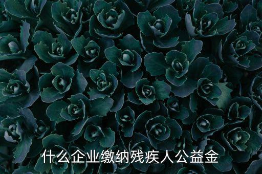 什么企業(yè)需申報殘疾人保障金，哪些單位應(yīng)該繳納殘疾人保障基金