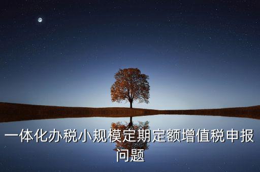 非定期定額戶申報是什么意思，一體化辦稅小規(guī)模定期定額增值稅申報問題