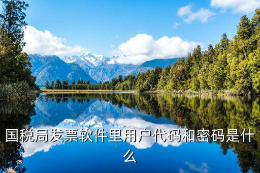 國稅用戶密碼是什么，你好我想問你 一下 網(wǎng)上國稅的用戶名和密碼是什么