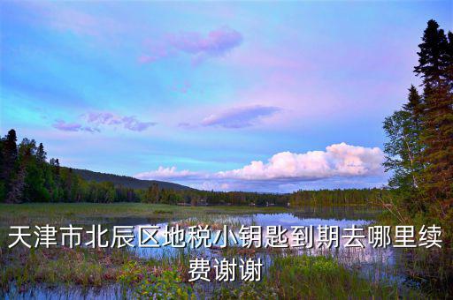 天津地稅小鑰匙密碼是什么，天津市北辰區(qū)地稅小鑰匙到期去哪里續(xù)費(fèi)謝謝