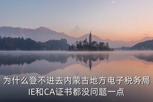 為什么電子稅務(wù)局登錄不了，山西省電子稅務(wù)局在電腦上登陸不上為啥呢