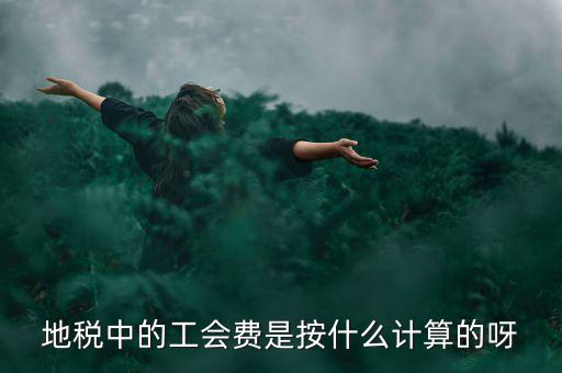地稅代征的工會(huì)經(jīng)費(fèi)按什么計(jì)算，地稅中的工會(huì)費(fèi)是按什么計(jì)算的呀