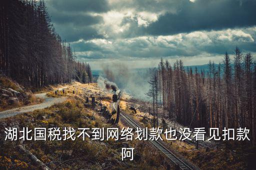 湖北省國稅局四個確保是什么，湖北國稅找不到網(wǎng)絡(luò)劃款也沒看見扣款阿