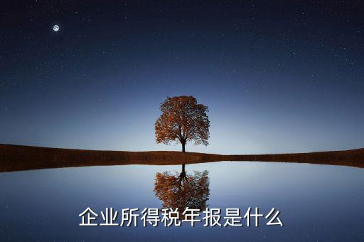 企業(yè)所得稅年度申報(bào)有什么用，企業(yè)所得稅按季申報(bào)和年度申報(bào)有什么區(qū)別