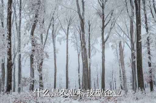 什么算科技型企業(yè)，什么是科技公司