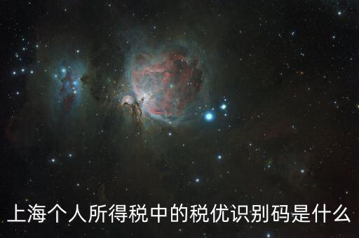 稅優(yōu)碼什么樣子，保險稅優(yōu)識別碼是什么樣的
