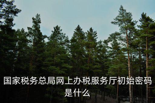 國稅申報默認密碼是什么意思，國家稅務總局網上辦稅服務廳初始密碼是什么
