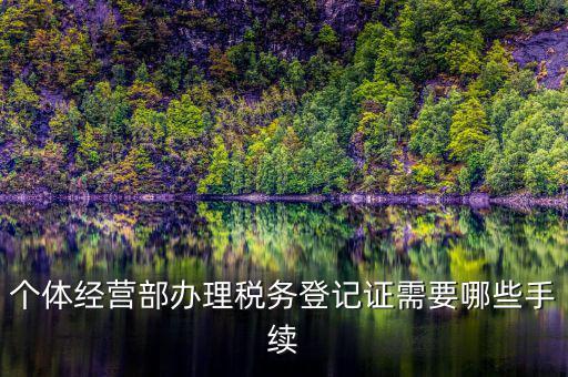稅務登記辦理都需要什么，辦理稅務登記證都需要提供什么資料