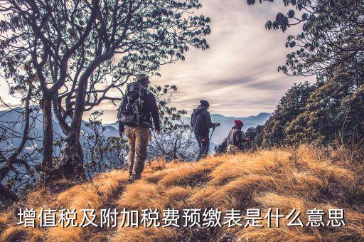 增值稅預(yù)繳表是什么意思，增值稅預(yù)征是什么意思 eq