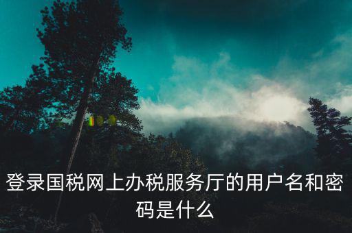 稅務(wù)查詢賬號密碼是什么意思，登錄國稅網(wǎng)上辦稅服務(wù)廳的用戶名和密碼是什么