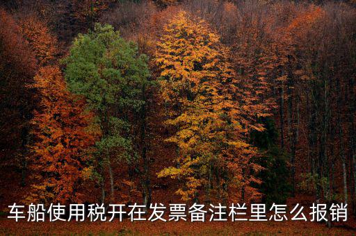 車(chē)船使用稅為什么在發(fā)票備注欄，保險(xiǎn)公司代收的車(chē)船稅稅款是填在備注欄里的么