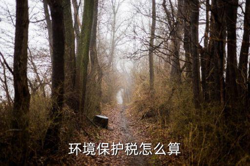 環(huán)保稅以什么為標準繳納，你認為汽車環(huán)保稅應該如何征收 具體點 謝謝