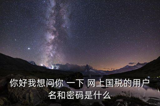 網(wǎng)上稅務辦理密碼是什么意思，國稅第一次網(wǎng)上申報的登陸密碼是什么