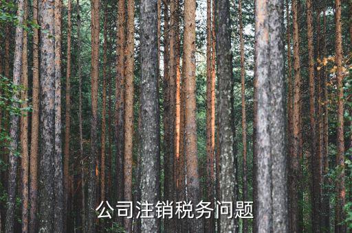 企業(yè)注銷為什么在地稅局非常簡(jiǎn)單，公司注銷稅務(wù)問(wèn)題