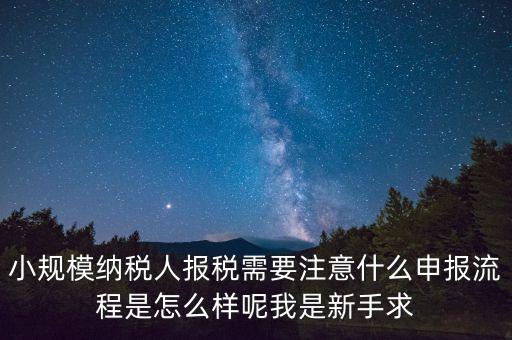 報(bào)稅需要注意什么手續(xù)，一般納稅人每個(gè)月怎么報(bào)稅報(bào)稅時(shí)要注意什么流程是怎么樣的