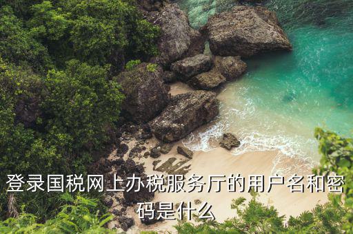 河北省地稅登陸的用戶名是什么，登錄國稅網(wǎng)上辦稅服務(wù)廳的用戶名和密碼是什么