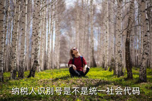 納稅人識(shí)別號(hào) 統(tǒng)一社會(huì)代碼是什么，納稅人識(shí)別號(hào)就是統(tǒng)一社會(huì)信用代碼嗎