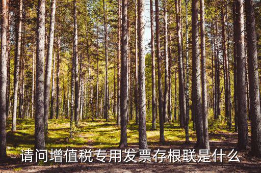 發(fā)票存根聯(lián)是什么，發(fā)票存根聯(lián)是按發(fā)票購領(lǐng)本上領(lǐng)購的本數(shù)裝訂還是25張裝訂一冊(cè)