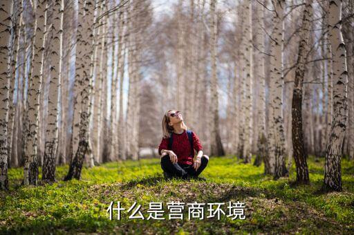 國稅局營商環(huán)境調(diào)查什么，國稅調(diào)函會(huì)查什么呢有一家進(jìn)出口公司說會(huì)下廠對(duì)我們公司調(diào)函  搜