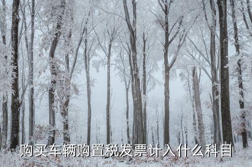 車輛購(gòu)置發(fā)票是什么，關(guān)于車輛購(gòu)置稅發(fā)票的問(wèn)題
