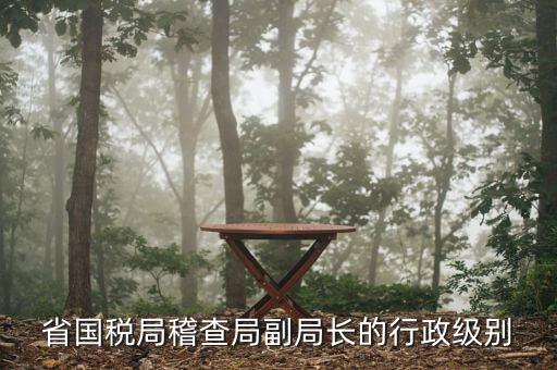 湖南稽查局長什么級(jí)別，湖南廣電局紀(jì)檢組長是什么級(jí)別